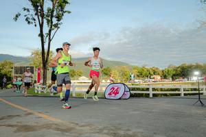 BIB: 
                            <button type="button" onclick="openModal(26555607)" class="btn btn-primary btn-sm float-right btn-popup" data-toggle="modal" data-target=".modal-high-quality">
                        <i class="fas fa-shopping-cart"></i> Add to Cart
                    </button>
                                            <button type="button" onclick="isThisMe(26555607, true)" class="btn btn-success btn-sm float-right btn-popup btn-isme hidden" data-toggle="tooltip" data-placement="bottom" title="นี่คือรูปของคุณใช่ไหม คลิกที่นี่เพื่อเอาเข้าอัลบั้ม">
                        <i class="fas fa-plus"></i> Add to album
                    </button>
                    <button type="button" onclick="isThisMe(26555607, false)" class="btn btn-warning btn-sm float-right btn-popup btn-isnotme hidden">
                        <i class="fas fa-ban"></i> Remove from album
                    </button>